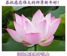 Published on 2/10/2013 ֹ,½󷨵ӹףʦ֣32
