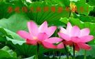 Published on 2/11/2013 ֹ,½󷨵ӹףʦã21
