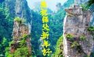 法轮功,廊坊大法弟子恭祝师尊新年好（20条）
