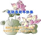Published on 2/11/2013 ֹ,½󷨵ӹףʦã15
