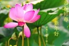 ֹ,ϴ󷨵ӹףʦã22
