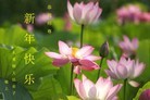 Published on 12/29/2015 ���ֹ�,��½�󷨵��ӹ�ףʦ���������(33��)
