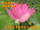 ֹ,½󷨵ӹףʦ(33)
