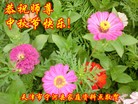 ֹ,½󷨵ӹףʦ(33)
