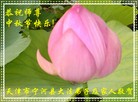 ֹ,½󷨵ӹףʦ(33)
