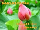 ֹ,ʯׯ󷨵ӹףʦ(30)
