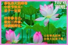 ֹ,ൺ󷨵ӹףʦ(22)
