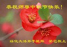 ֹ,󷨵ӹףʦ(21)
