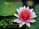 ֹ,մ󷨵ӹףʦ(22)
