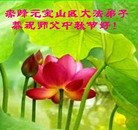 法轮功,内蒙古大法弟子恭祝师尊中秋好(22条)
