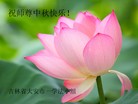 ֹ,ʡ󷨵ӹףʦ(22)
