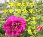 ֹ,󷨵ӹףʦ(20)
