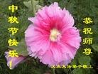 ֹ,󷨵ӹףʦ(20)
