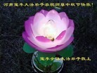 ֹ,ϴ󷨵ӹףʦ(25)
