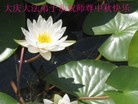 ֹ,󷨵ӹףʦ(20)

