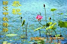 ֹ,ϴ󷨵ӹףʦ(25)
