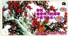 ֹ,ൺ󷨵ӹףʦ(22)
