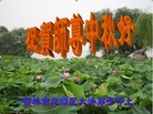 ֹ,д󷨵ӹףʦ(20)

