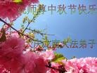 ֹ,󷨵ӹףʦ(27)
