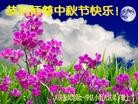 ֹ,󷨵ӹףʦ(27)
