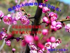 ֹ,ʡ󷨵ӹףʦ(26)
