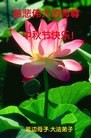 ֹ,ʡ󷨵ӹףʦ(26)
