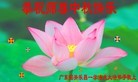 法轮功,广东大法弟子恭祝师尊中秋好(27条)
