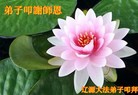 ֹ,ʡ󷨵ӹףʦ(22)
