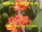 ֹ,󷨵ӹףʦ(21)
