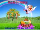 ֹ,󷨵ӹףʦ(24)
