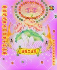 ֹ,ʡ󷨵ӹףʦ(22)
