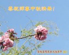 ֹ,մ󷨵ӹףʦ(26)
