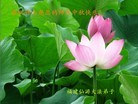 ֹ,󷨵ӹףʦ(23)
