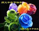 ֹ,ʡ󷨵ӹףʦ(22)
