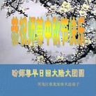 Published on 9/18/2013 ���ֹ�,��½�󷨵��ӹ�ףʦ�������(37��)
