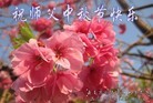 ֹ,ϴ󷨵ӹףʦ(22)
