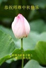 ֹ,մ󷨵ӹףʦ(26)
