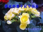 ֹ,½󷨵ӹףʦ(38)
