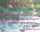 ֹ,󷨵ӹףʦ(21)
