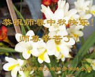 ֹ,ϴ󷨵ӹףʦ(21)
