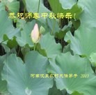 Published on 9/19/2013 ���ֹ�,��½�󷨵��ӹ�ףʦ�������(36��)
