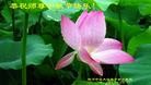 ֹ,½󷨵ӹףʦ(34)
