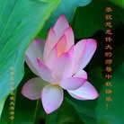 Published on 9/19/2013 ���ֹ�,��½�󷨵��ӹ�ףʦ�������(48��)
