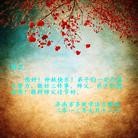 Published on 9/19/2013 ���ֹ�,��½�󷨵��ӹ�ףʦ�������(33��)
