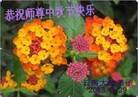 ֹ,ϴ󷨵ӹףʦ(32)
