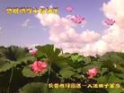 ֹ,󷨵ӹףʦ(25)
