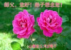 ֹ,½󷨵ӹףʦ(33)

