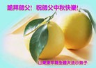 ֹ,½󷨵ӹףʦ(33)
