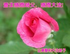ֹ,½󷨵ӹףʦ(33)
