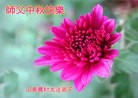 ֹ,½󷨵ӹףʦ(33)
